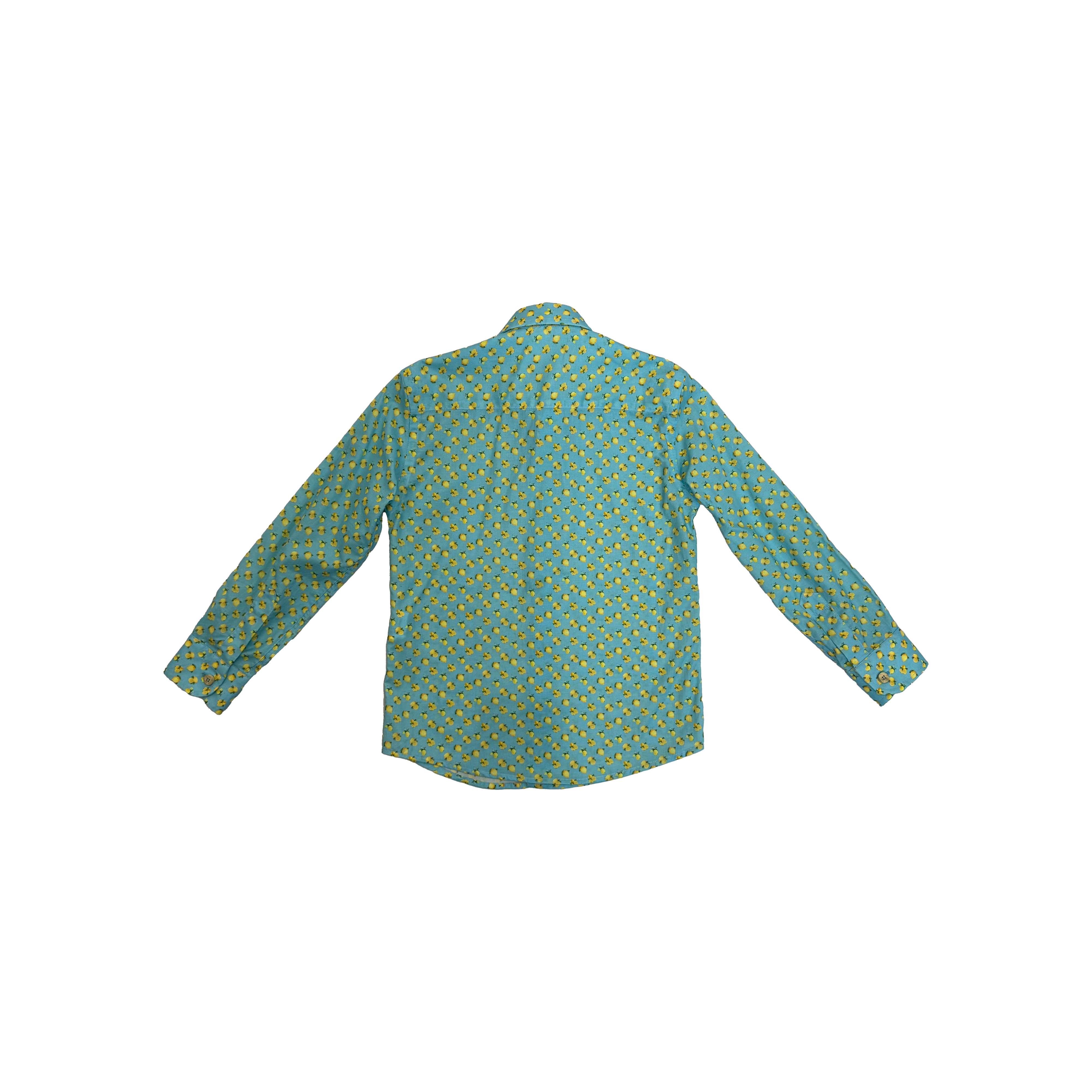 Neill Katter Camicia Lemon Sostegno trimestrale