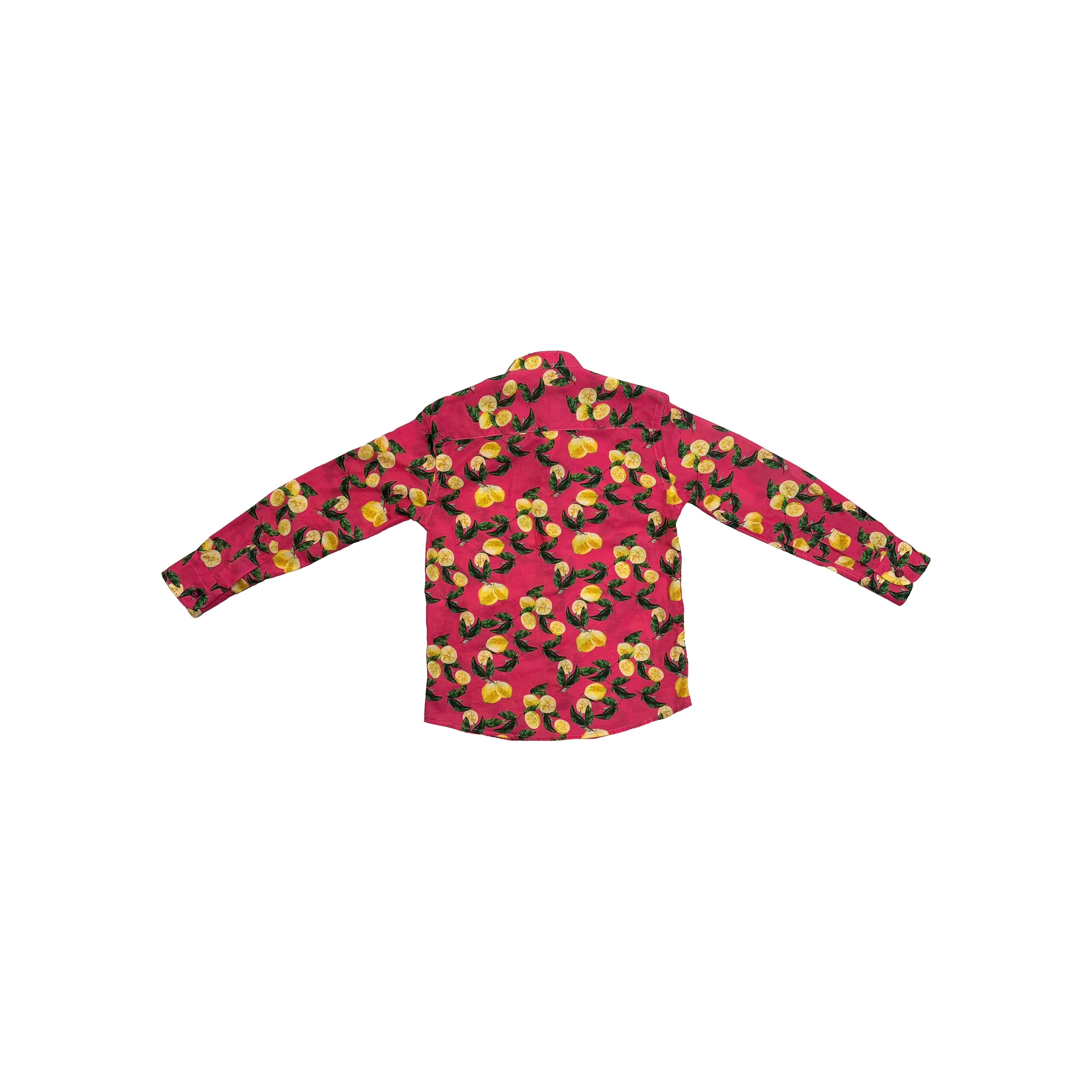 Neill Katter Camicia Limoni Novità