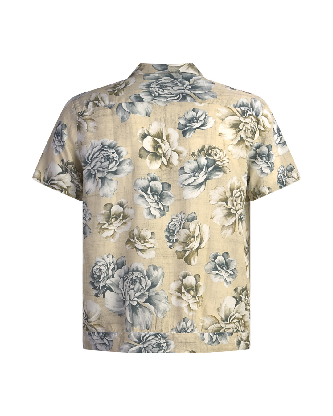Neill Katter Camicia Rosa Alba Qualità